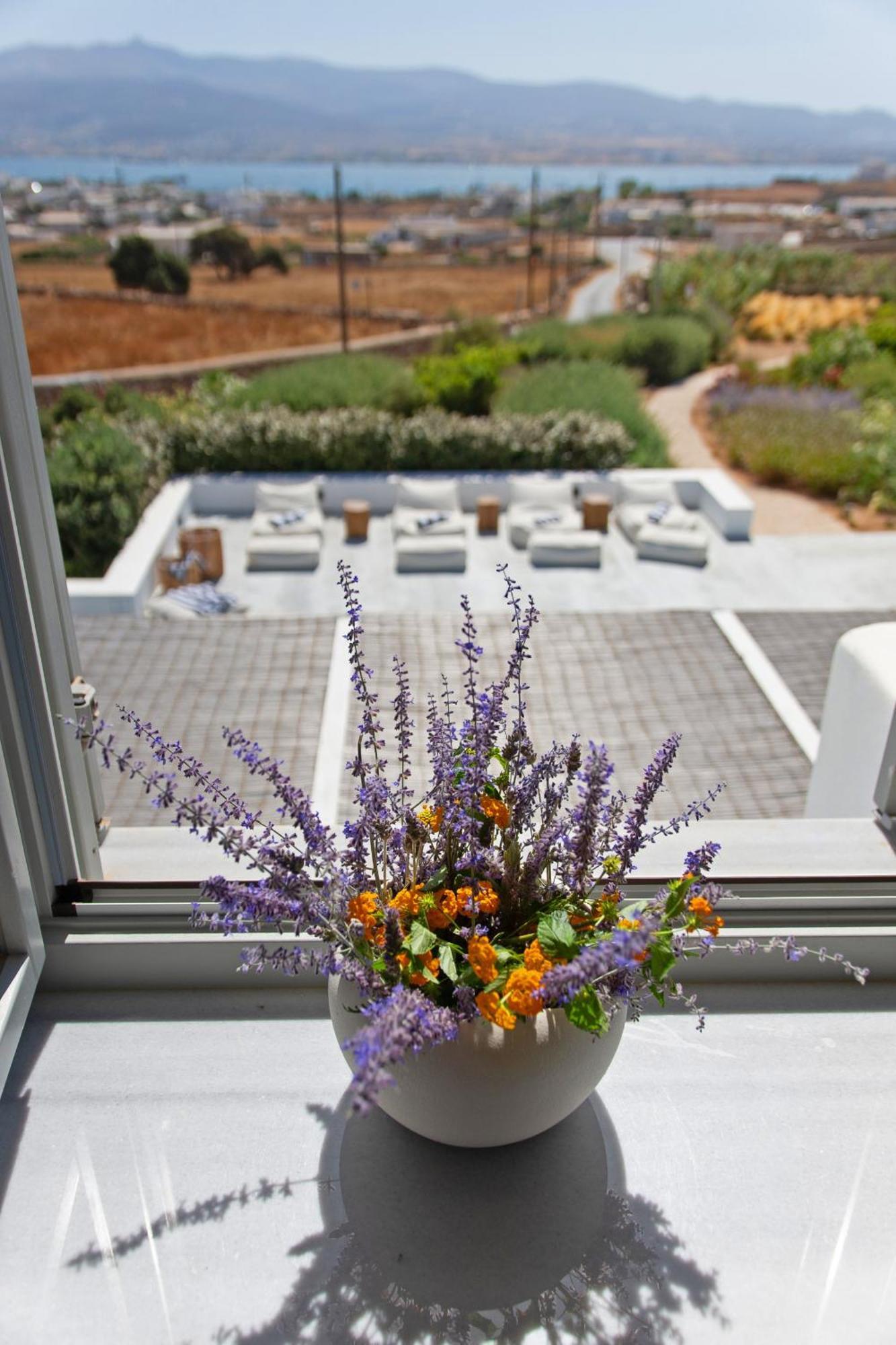 Dreamy 5 Bdr Antiparos Pool Villa Exteriör bild
